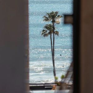 欧美人与禽性猛交狂配摘花
